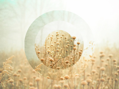 Concentric circle circles concentric field grass photo photography sky