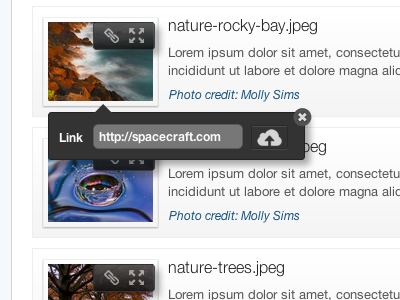 Url Link Popover cloud link ui urls