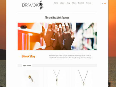 BRIWOK Website design ecommerce photoshop wordpress