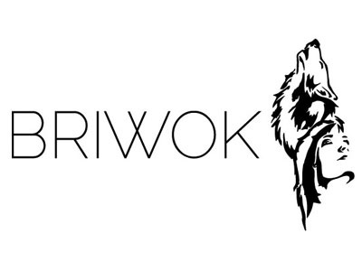 BRIWOK Logo branding design illustrator logo