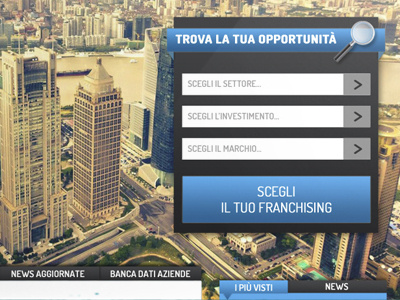 WebSite for a franchising company company designer franchising web design website