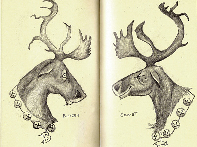 comet illustration pencil sketch pencils reindeer sketch