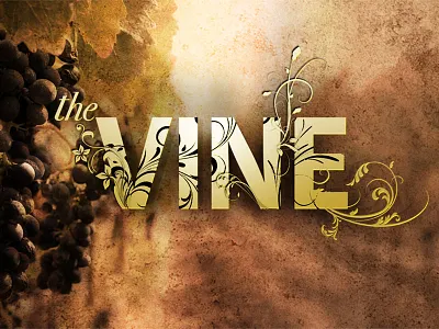 VIne design grape grow logo plant vine