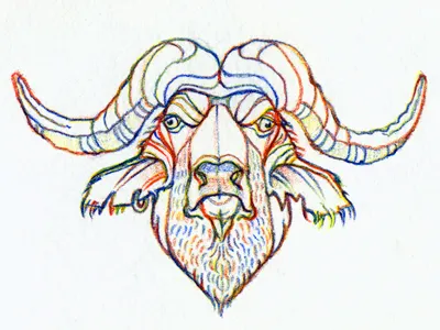 Buffalo art character color drawing illustration pencil