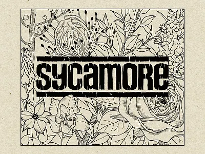 Sycamore Flower Shop + Bar design floral hand drawn illustration logo typograghy wood