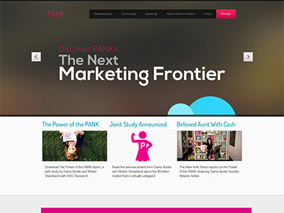 Pankpower - Venture of Savvy Auntie desyn.in marketing website melanie notkins savvy auntie