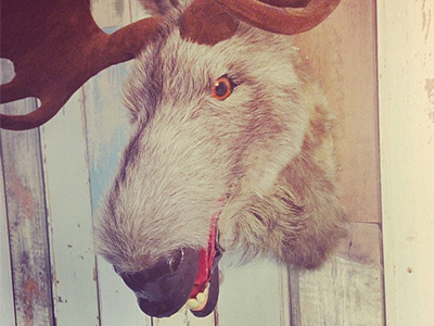 Meet Manuel card christmas moose xmas