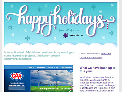 Holiday Newsletter christmas holiday illustration newsletter type