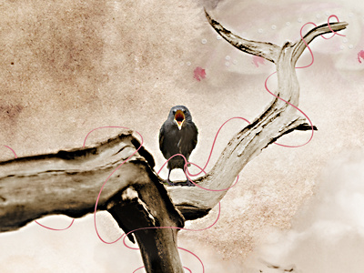 Photomanipulation bird nature photomanipulation photoshop pink tree