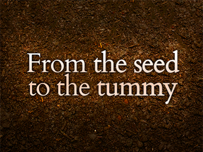 From The Seed To The Tummy Title cardo ground ligth soil