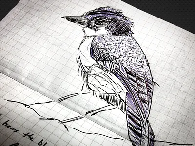 Blue Jay blue jay doodle illustration ink narrative pen storytelling work in progress