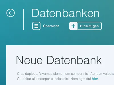 Server UI add blue database datenbank helvetica light grey overview server simple ui ux