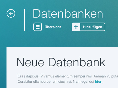 Server UI add blue database datenbank helvetica light grey overview server simple ui ux