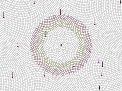 | d | ạ | y | s | - 11.111 days of life data days sunflower visualization