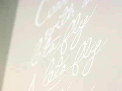 Come Fly With Me hand drawn lettering poster screen print typography