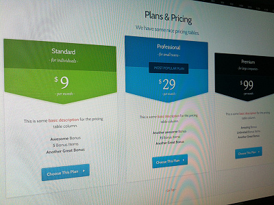 Pricing Table pricing table