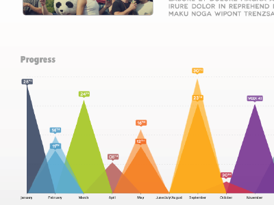 Progress Report chart graph report visualization