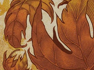 Falling Leaves brian luong