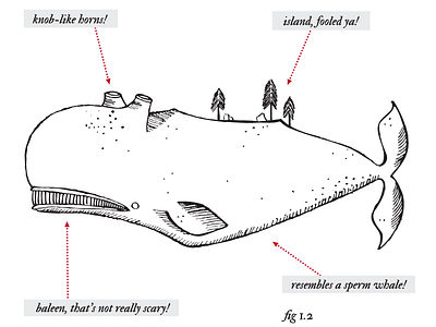 Devil Whale Flashcard animal diagram drawing hand drawn illustration ink mythology print