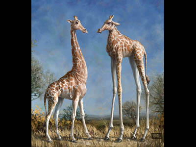 Emmm...Welcome To The Herd... africa animal desert girafe herd humour sabana sky tree