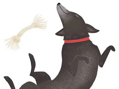 JD the dog animal black lab cute dog happy illustration lab puppy