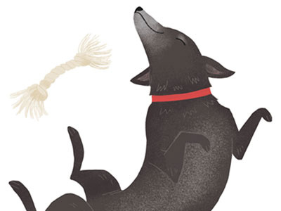 JD the dog animal black lab cute dog happy illustration lab puppy