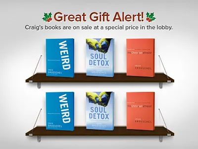 Book Shelf book christian christmas gift lifechurch.tv shadow shelf soul detox weird wood wood grain