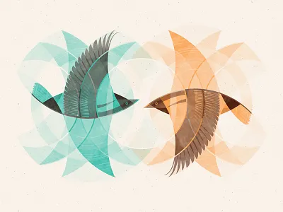 Orioles Art Print art print birds circle cirlces dan kuhlken dkng guidlines nathan goldman okkervil river orange orioles poster screenprint silkscreen teal vector