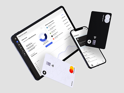 Financial Dashboard - Credit Card design ui web