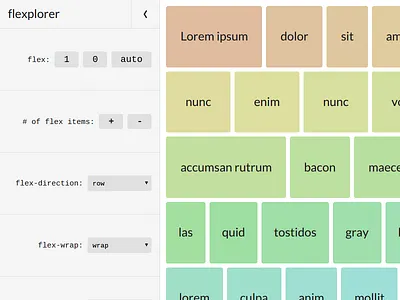 Flexplorer 2.0 flexplorer