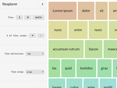 Flexplorer 2.0 flexplorer
