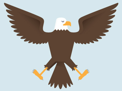 Dress America Infographic eagle illustration infograph