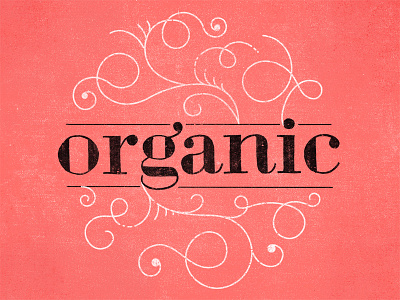 Whole Foods Kitchen Branding branding food lettering organic texture