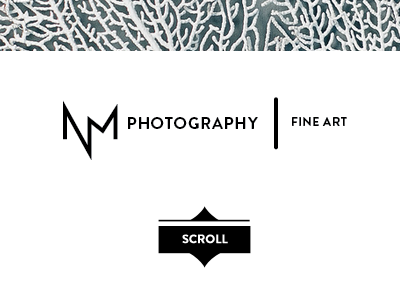 Rebrand + Website: NM Photography Progress brand jessica pine logo nick mcfee photographer scroll website