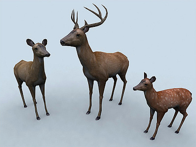 Deer 3d 3ds buildings character deer game hunter lowpoly max render