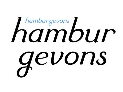 Hamburgevons design type typography