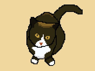 Domesticated Beast 16 bit 8 bit cat