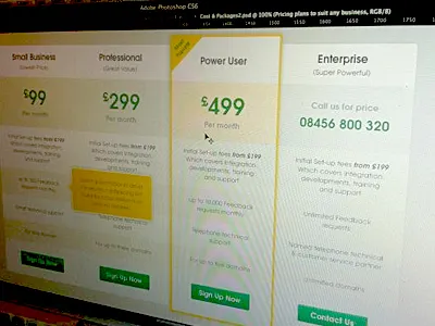 Choose your plan clean plans pricing simple table