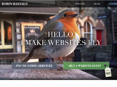 Websites Can Fly bird design homepage psd web