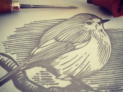 Robin1 bird black and white christmas detail drawing illustration ink lino linocut robin sketch tool