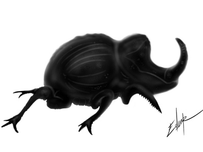 Beetle-Rhinoceros. animal art beetle bug eduardo escarabajo quesada rhino rhinoceros rinoceronte suñer