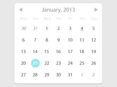 Date Picker calendar date picker