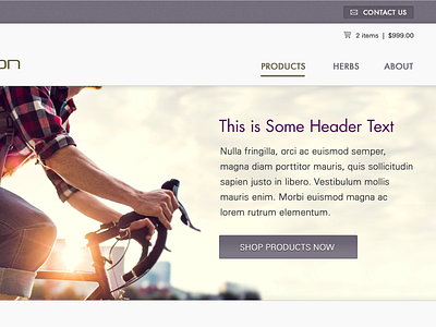 Health Product Home Page In Progress Design bicycle bike gray grey health home page purple