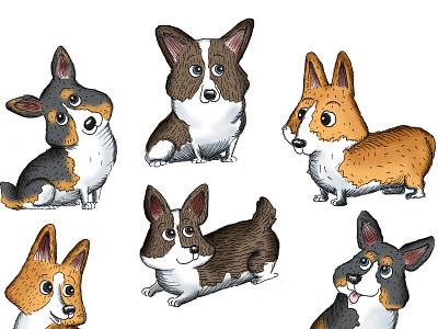 Corgi Study corgi dog dogs doodle draw more 2013 hannah tuohy illustration sketch study