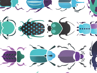 The Beetles beetles bugs illustration insects