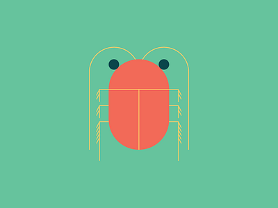 Buggin' bug geometric illustration roach