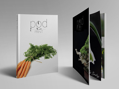 Pod Print Mocks art direction branding identity print