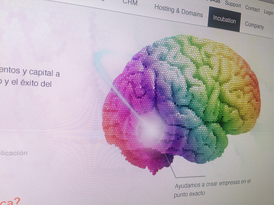 Brain incubation brain incubation