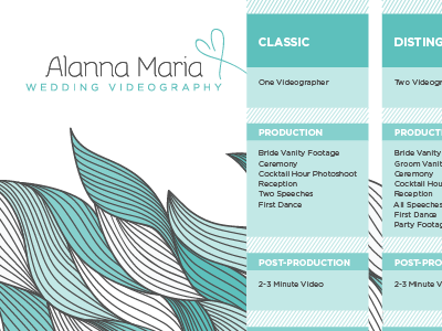 Alanna Maria CD insert blue packages pattern price videography weddings