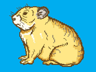 Pika illustration pixelated